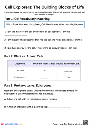Cell Explorers: Discovering Cell Structures and Functions