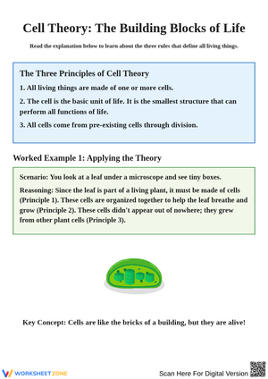 Understanding Cell Theory and Its Principles