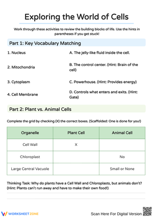 Exploring the World of Cells Through Fun Activities