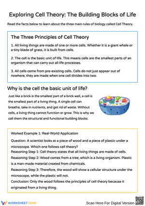 Exploring Cell Theory: The Building Blocks of Life
