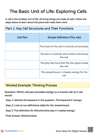 Exploring Cells: Understanding Animal and Plant Cell Structures