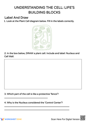 Understanding Cell Structure: A Fun Worksheet