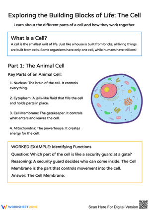 Understanding Cells: Structure and Function