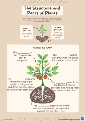 Understanding the Structure and Parts of Plants