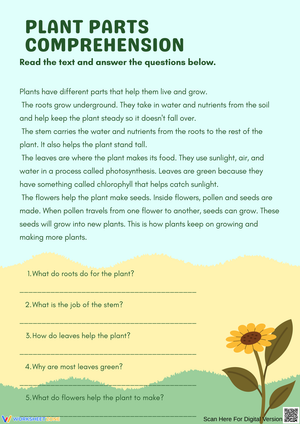 Understanding Plant Parts and Their Functions