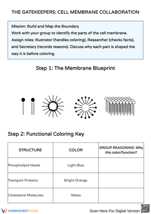 Understanding Cell Membrane Structure and Function