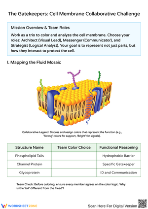 Collaborative Cell Membrane Challenge Activity