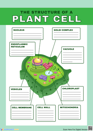Explore the Structure of a Plant Cell