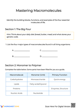 Mastering Macromolecules: Exploring Essential Molecules