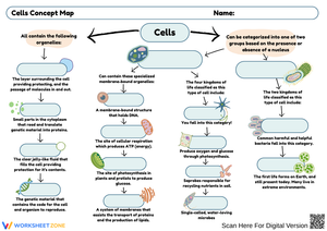 Exploring Cells: Concept Map Activity