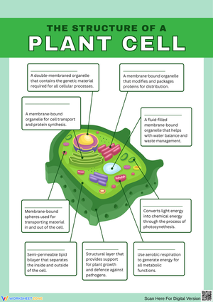 Exploring the Structure of a Plant Cell