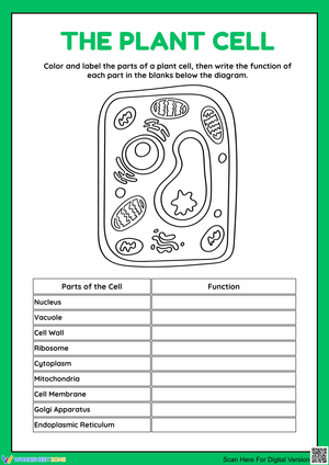 Explore The Parts of a Plant Cell