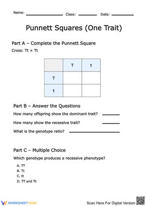 Punnett Squares One Trait Worksheet