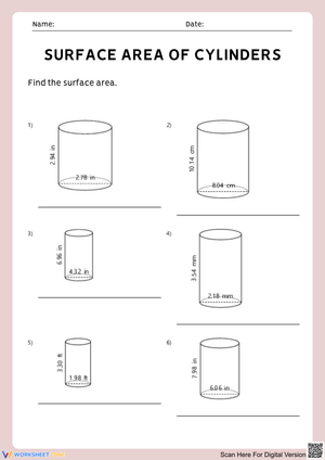 Surface Area of Cylinders Worksheet
