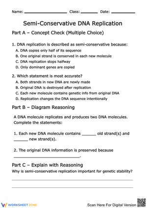 Semi-Conservative DNA Replication Worksheet