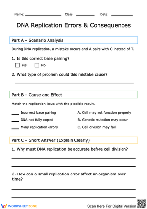 DNA Replication Errors & Consequences