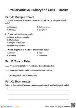 Prokaryotic vs Eukaryotic Cells Worksheet