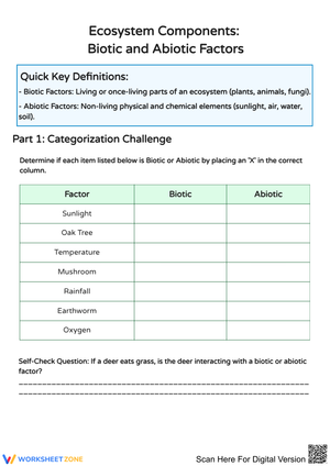 Ecosystem Components: Biotic and Abiotic Factors