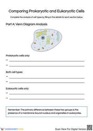 Comparing Prokaryotic and Eukaryotic Cells