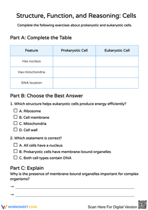 Structure, Function, and Reasoning: Cells Worksheet