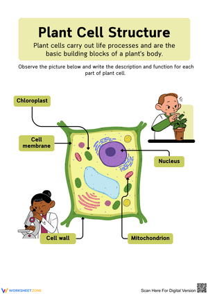 Exploring Plant Cell Structure and Functions