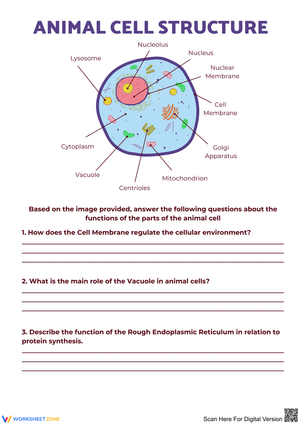 Explore Animal Cell Structure: Understanding Cell Functions