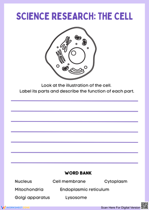 Exploring Cell Structures and Functions