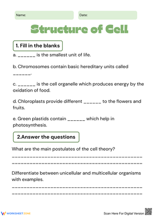 Learn About Cell Structure and Organelles