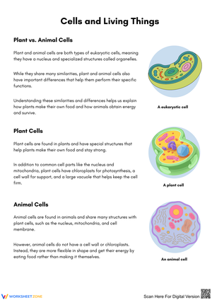Understanding Plant and Animal Cells