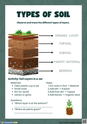 Exploring Different Types of Soil Layers