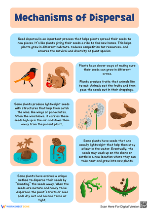 Understanding Seed Dispersal Mechanisms in Plants