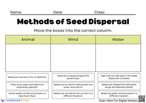 Exploring Methods of Seed Dispersal