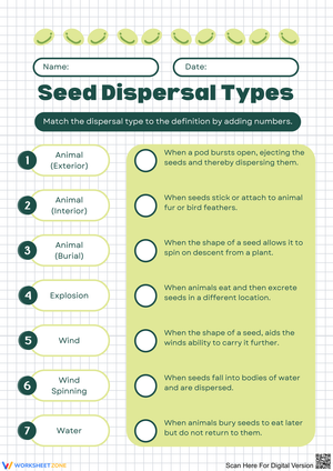 Understanding Seed Dispersal Types