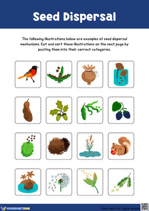 Exploring Seed Dispersal Mechanisms