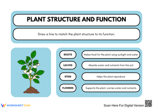 Understanding Plant Structure and Function