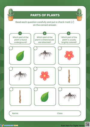 Understanding Plant Parts with Fun Activities