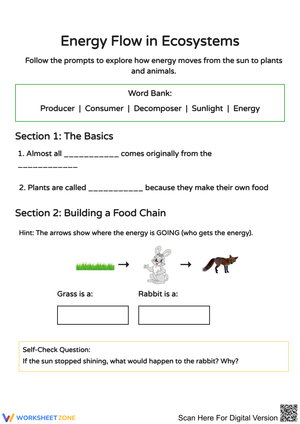 Energy Flow in Ecosystems Worksheet