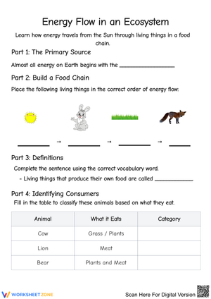 Energy Flow in an Ecosystem Worksheet