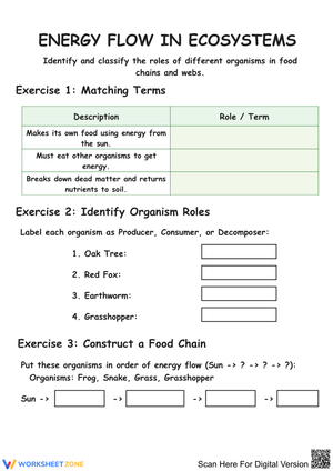 Energy Flow in Ecosystems Worksheet
