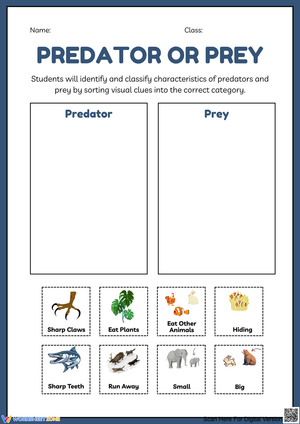 Classifying Predators and Prey Activity