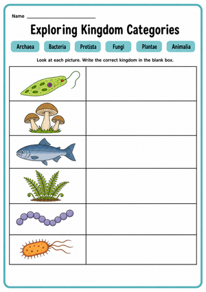 Biological Kingdoms Worksheet | Essential Grade 6-8 Science