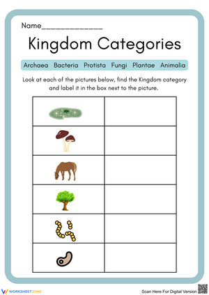 Exploring Kingdom Categories of Living Organisms