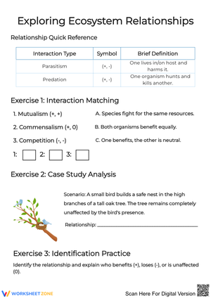 Exploring Ecosystem Relationships Worksheet