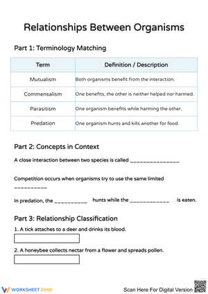 Relationships Between Organisms