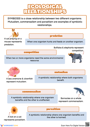 Understanding Ecological Relationships in Nature