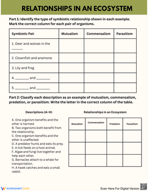 Exploring Symbiotic Relationships in Ecosystems