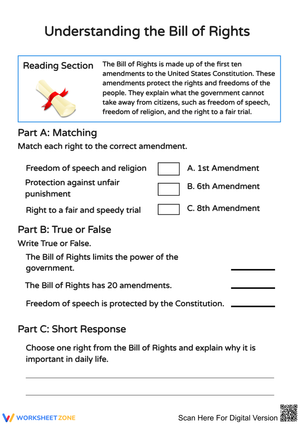 Understanding the Bill of Rights Worksheet – Grade 9 Civics
