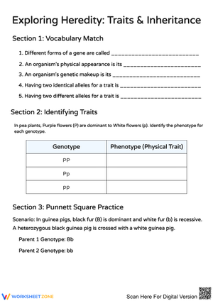 Exploring Heredity: Traits and Inheritance
