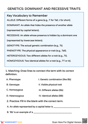 Dominant and Recessive Traits Worksheet