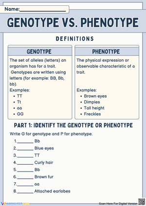 Understanding Genotype and Phenotype Concepts